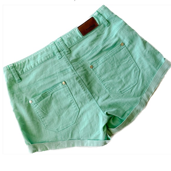 Teal Express Shorts - Picture 2 of 3